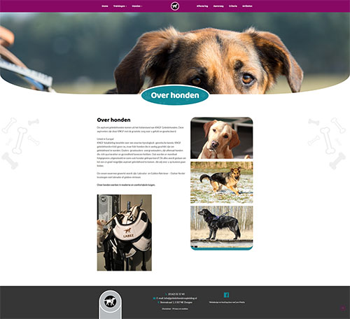 Voorbeeld van honden pagina op geleidehondenopleiding.nl