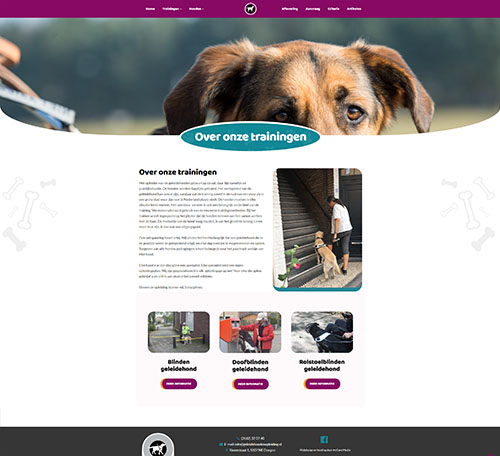Voorbeeld van trainingen pagina op geleidehondenopleiding.nl